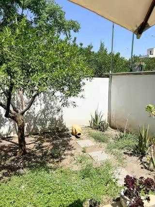 Origini - Apartment With Private Garden Lecce Luaran gambar